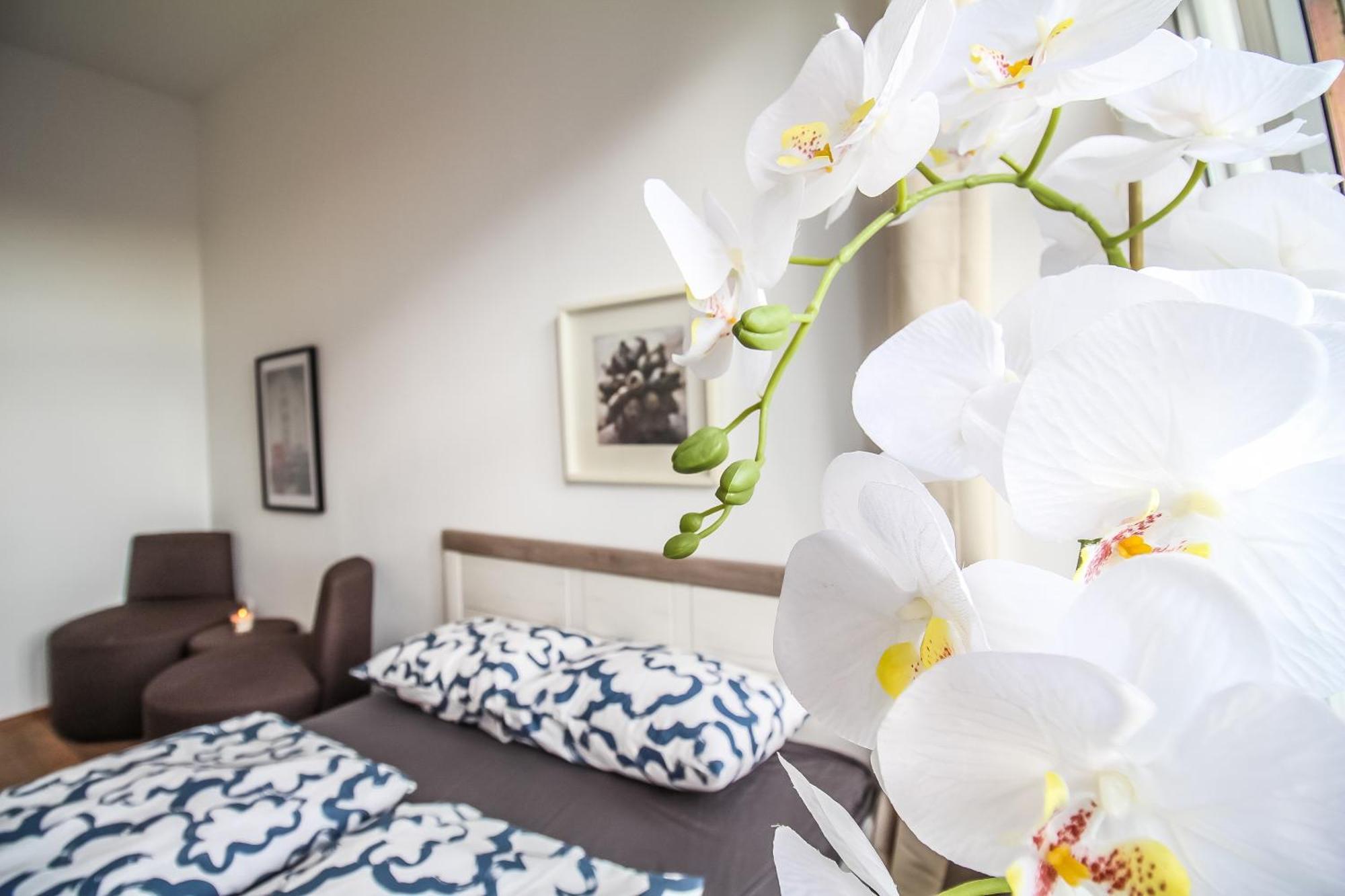 Disc Cozy Rooms In Liesing Wien Exteriör bild